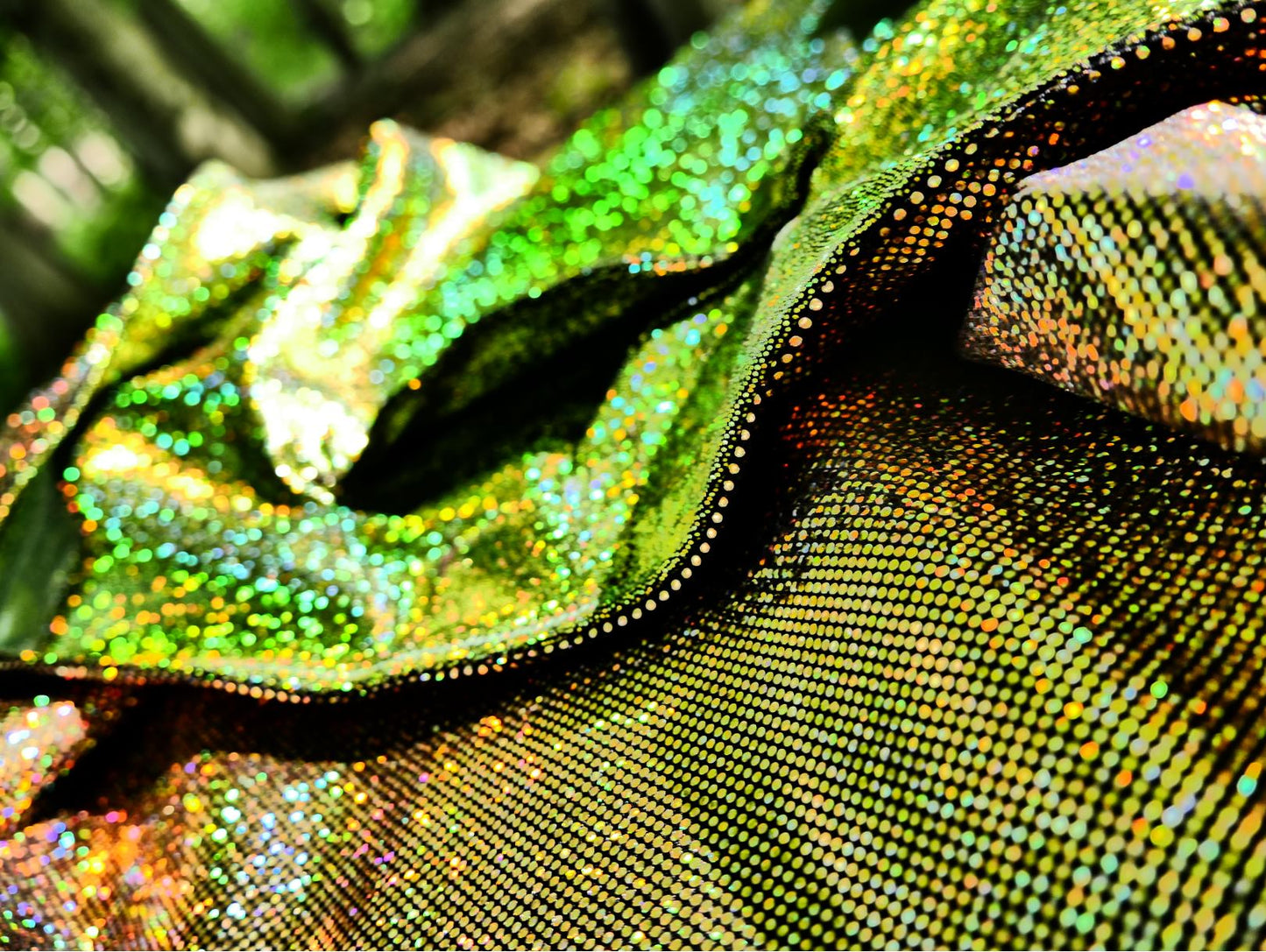 Earthling Reversible Holographic Fairy Bag