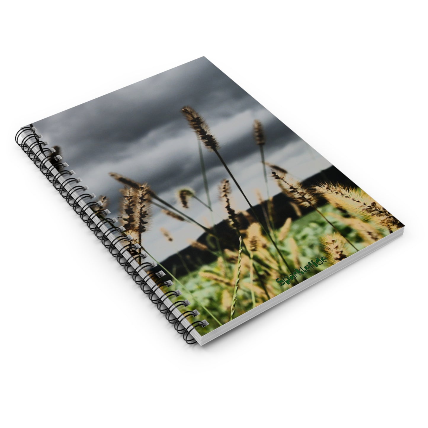 Moody Mornings Spiral Notebook, Vision Notebook