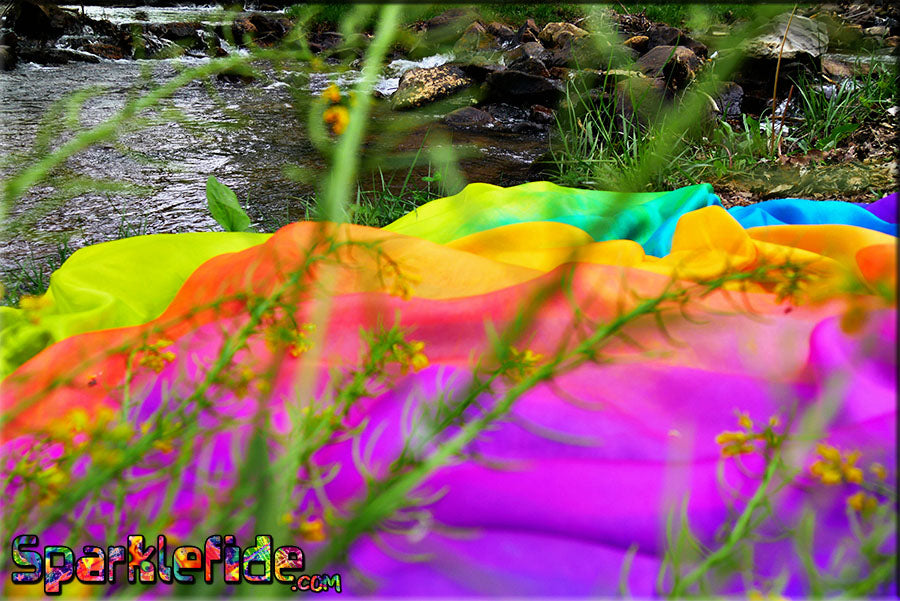 UV Rainbow Silk Humming Bird Wings