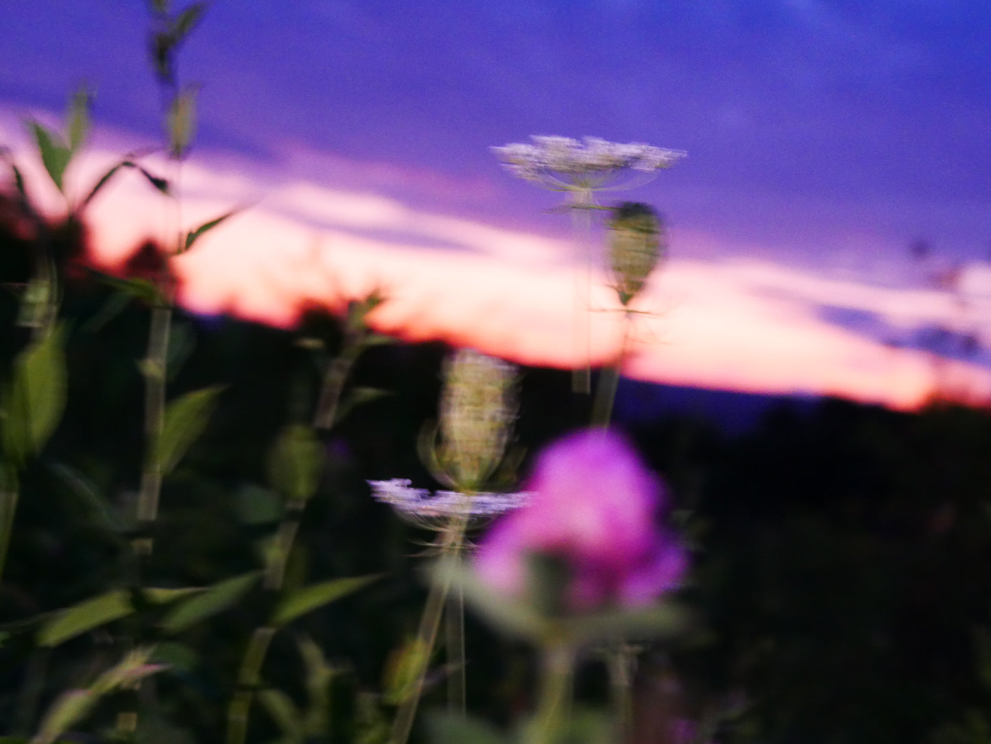 Shiny Pink Flow Pants