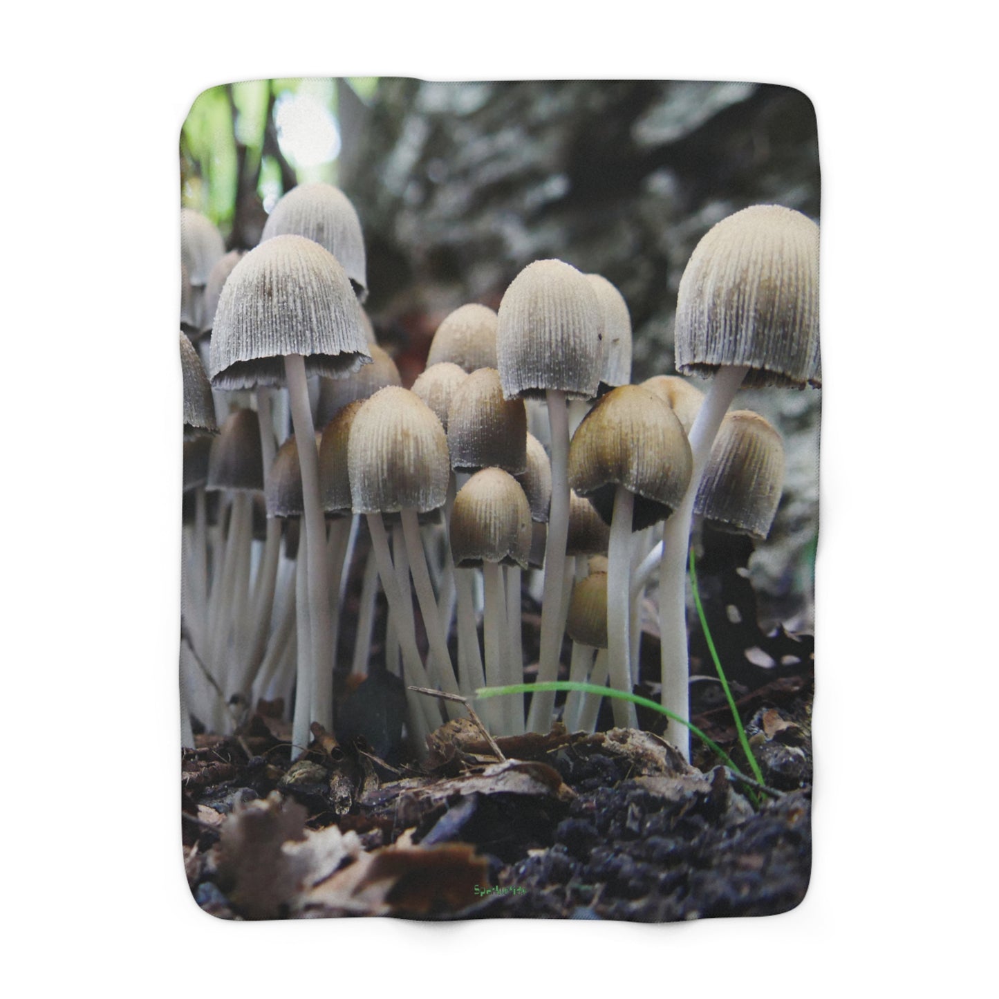 Mushroom Family Festival Blanket, Fleece Blanket, Sherpa Blanket, Rainbow Blanket