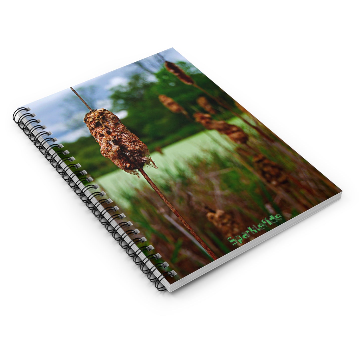 Fairy Bog Notebook, Spiral Notebook,  Vision Notebook
