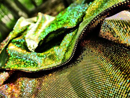 Earthling Reversible Holographic Fairy Bag