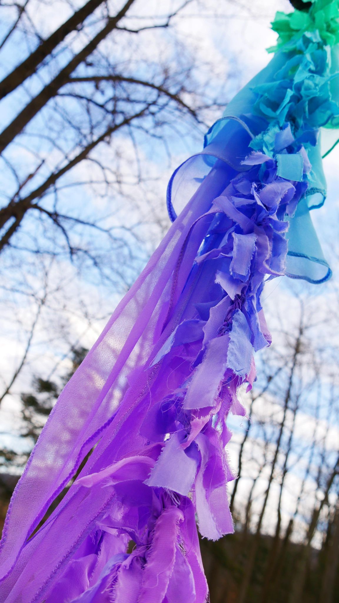 UV Nocturnal Sunshine Humming Bird Wings