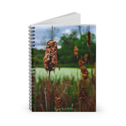 Fairy Bog Notebook, Spiral Notebook,  Vision Notebook