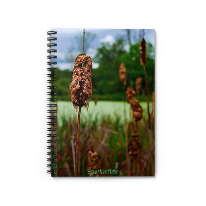 Fairy Bog Notebook, Spiral Notebook,  Vision Notebook