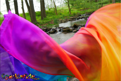 UV Rainbow Silk Humming Bird Wings