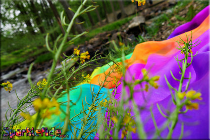 UV Rainbow Silk Humming Bird Wings