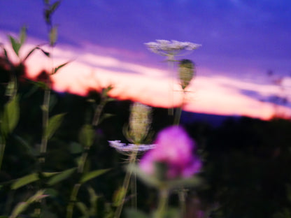 Shiny Pink Flow Pants