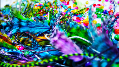 UV Fancy Feathers Colorful Clips
